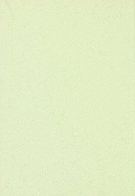 玉环年鉴2007.pdf电子版_浙江省志预览图1