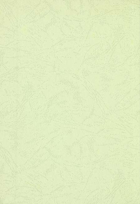 玉环年鉴2008.pdf电子版_浙江省志预览图1