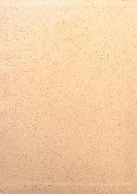 盐城年鉴 2003.pdf电子版_江苏省志预览图1