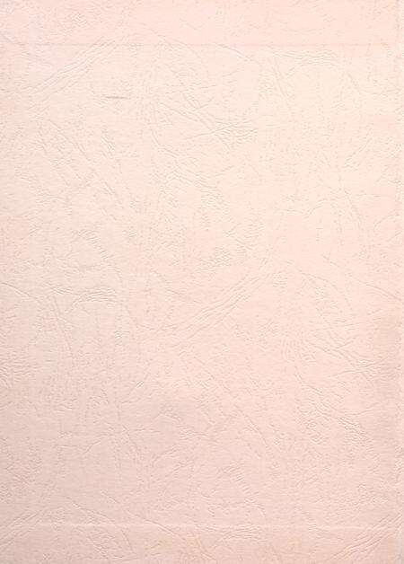 盐城年鉴 2008.pdf电子版_江苏省志预览图1