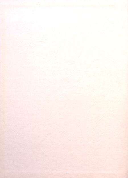 盐城年鉴 2012.pdf电子版_江苏省志预览图1