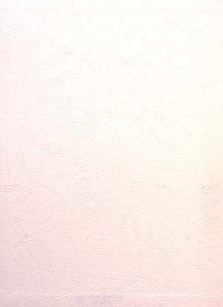 盐城年鉴 2013.pdf电子版_江苏省志预览图1