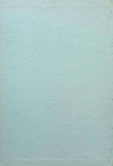 盐城统计年鉴 2008.pdf电子版_江苏省志预览图1