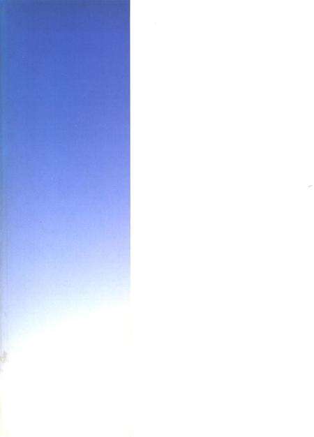 社旗县志2011.pdf电子版_河南省志预览图1