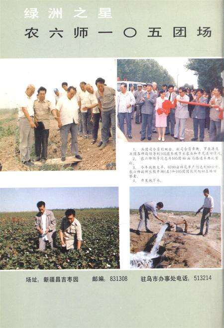新疆绿洲1991年第06期.pdf电子版_新疆维吾尔族自治区志预览图1