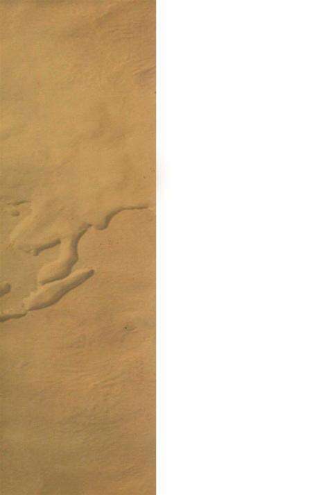 腾越乡土志.pdf电子版_云南省志预览图1