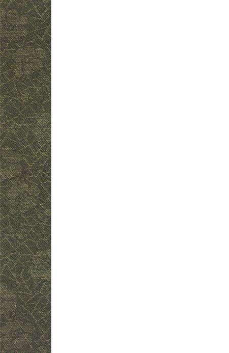 自贡市税务志1911-1985.pdf电子版_四川省志预览图1