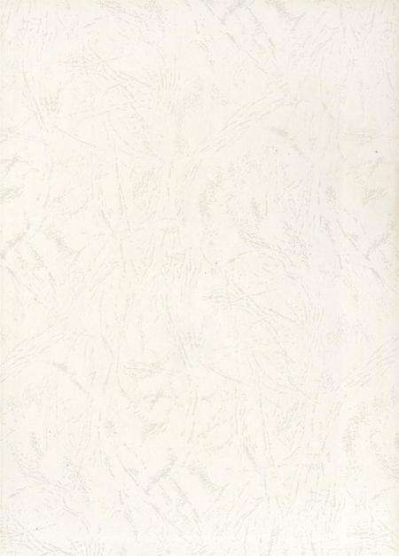 自贡年鉴2010.pdf电子版_四川省志预览图1