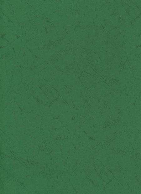 简阳年鉴·2004.pdf电子版_四川省志预览图1