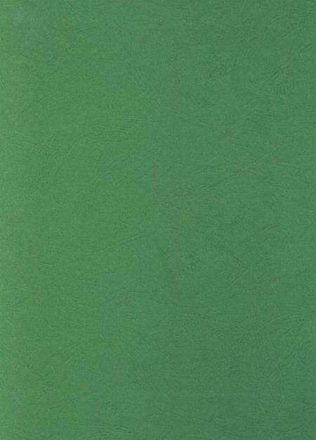 简阳年鉴·2007.pdf电子版_四川省志预览图1