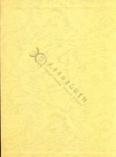 西青年鉴2013.pdf电子版_天津市志预览图1