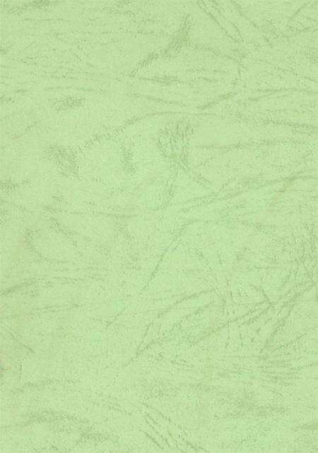 资阳统计年鉴（2000）.pdf电子版_四川省志预览图1