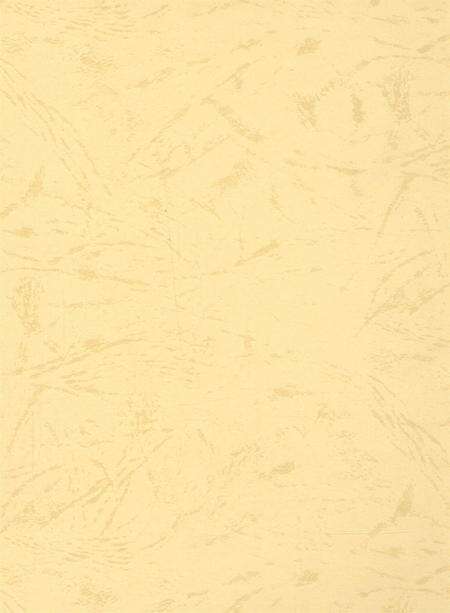 资阳统计年鉴（2004年）.pdf电子版_四川省志预览图1