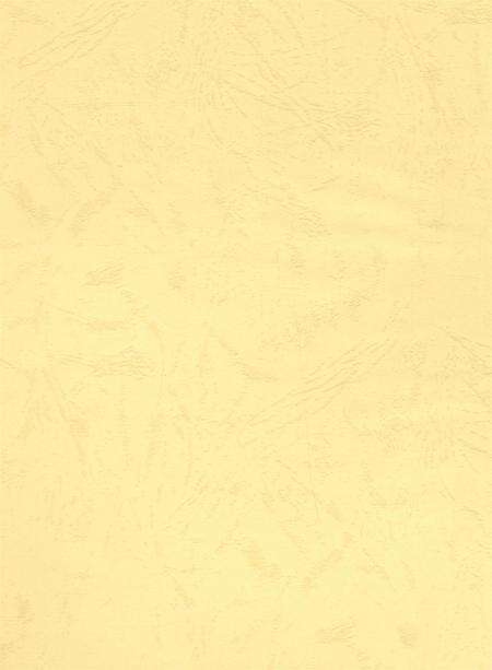 资阳统计年鉴（2005年）.pdf电子版_四川省志预览图1