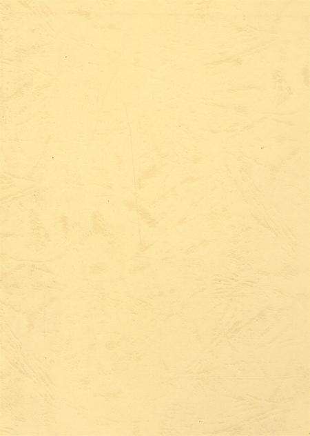 资阳统计年鉴（2006年）.pdf电子版_四川省志预览图1