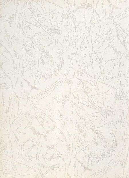 遂宁市粮油志（1996——2005）.pdf电子版_四川省志预览图1