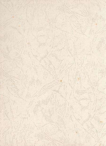 遂宁年鉴（2008年卷）.pdf电子版_四川省志预览图1