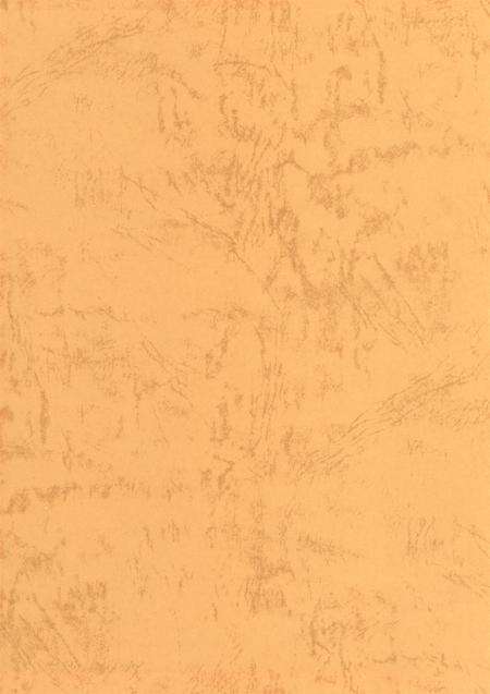 郑州年鉴2001.pdf电子版_四川省志预览图1