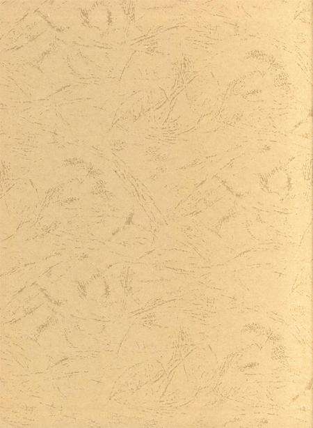 郑州年鉴2010.pdf电子版_四川省志预览图1