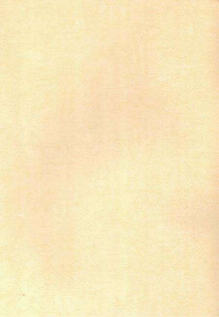 郴州市纪检·监察志 1949-2012 送审稿.pdf电子版_湖南省志预览图1