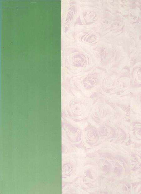 郴州年鉴1996～1997.pdf电子版_湖南省志预览图1