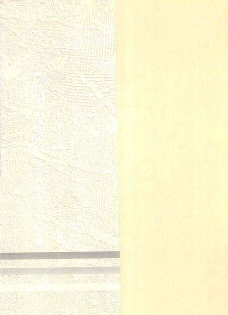 郴州年鉴2001.pdf电子版_湖南省志预览图1