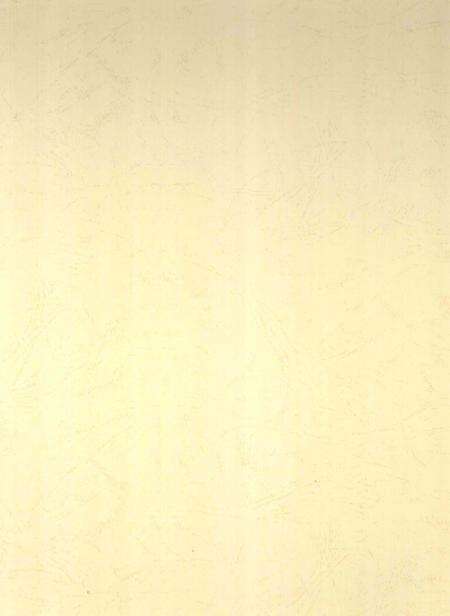 郴州年鉴2007.pdf电子版_湖南省志预览图1