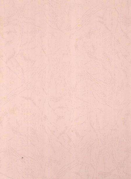 郴州年鉴2009.pdf电子版_湖南省志预览图1