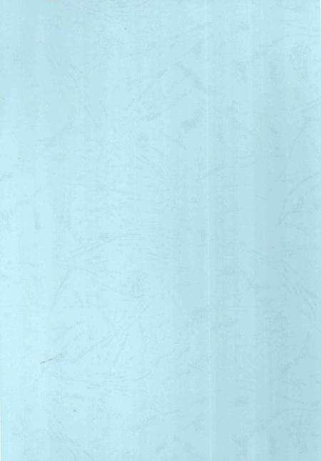 铁道部第五工程局第五工程处志-1974-1999-nan-nan.pdf电子版_其他志预览图1