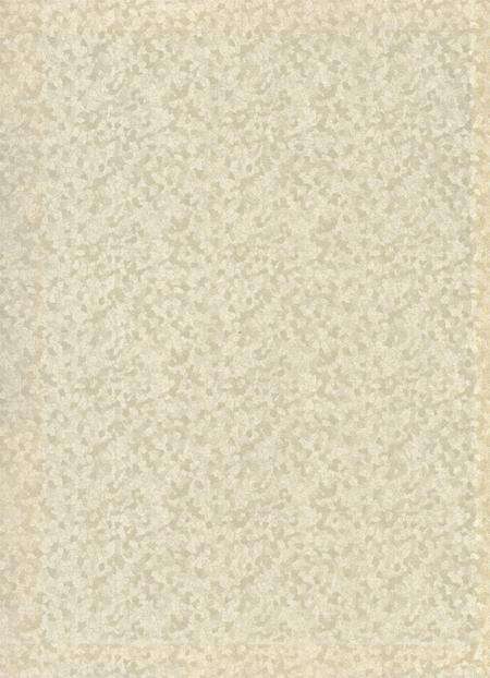 防城港市第三次全国文物普查：文物点名录.pdf电子版_广西壮族自治区志预览图1