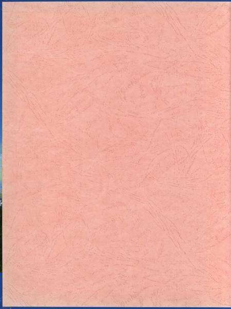 防城港市纪事：1968-2003.pdf电子版_广西壮族自治区志预览图1