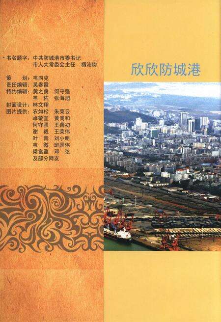 防城港文化遗产从书.历文化遗产部分.pdf电子版_广西壮族自治区志预览图1