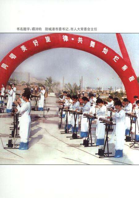 防城港文化遗产从书.非物质文化遗产部分.pdf电子版_广西壮族自治区志预览图1