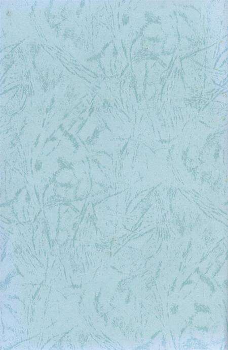 隆昌县轻纺工业志（续）（1996——2002）.pdf电子版_四川省志预览图1