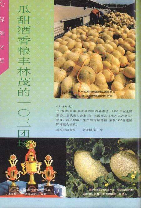 新疆绿洲1994年第02期.pdf电子版_新疆维吾尔族自治区志预览图1