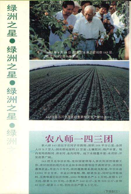 新疆绿洲1994年第03期.pdf电子版_新疆维吾尔族自治区志预览图1
