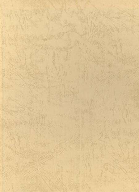 资阳地区年鉴：1998-2000.pdf电子版_四川省志预览图1