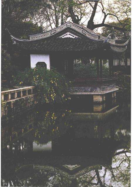 2004-嘉定文史资料专辑  2  嘉定鉴赏石选.pdf电子版_上海市志预览图1