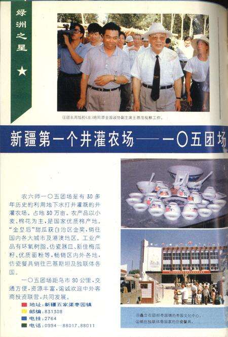 新疆绿洲1994年第05期.pdf电子版_新疆维吾尔族自治区志预览图1