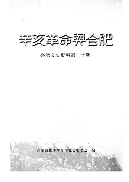 辛亥革命与合肥  第20辑.pdf电子版_安徽省志预览图1