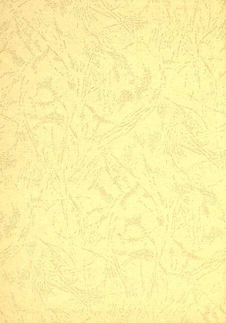 2008中共东营市委纪事.pdf电子版_山东省志预览图1