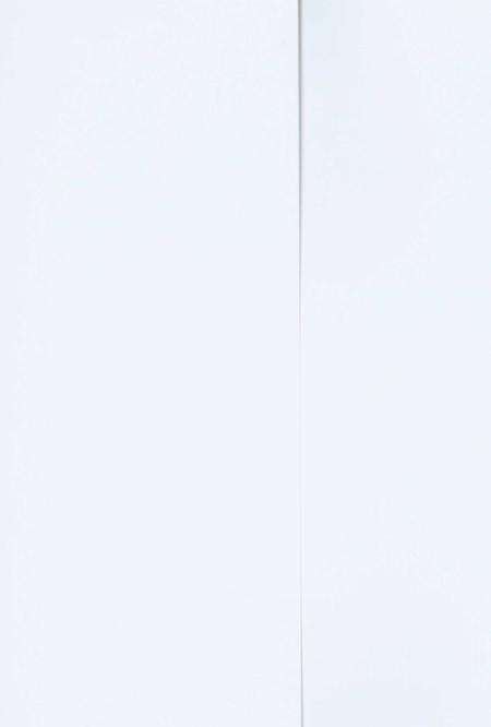 三八五旅在庆阳(上).pdf电子版_甘肃省志预览图1