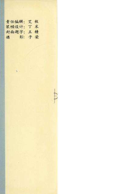 崛起的江平.pdf电子版_广西壮族自治区志预览图1