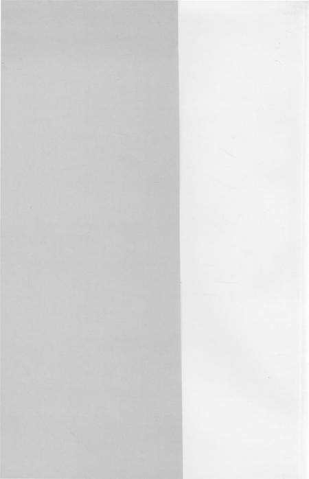 文化大革命时期的铁岭.pdf电子版_辽宁省志预览图1