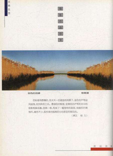 新疆画报2000年第05期.pdf电子版_新疆维吾尔族自治区志预览图1