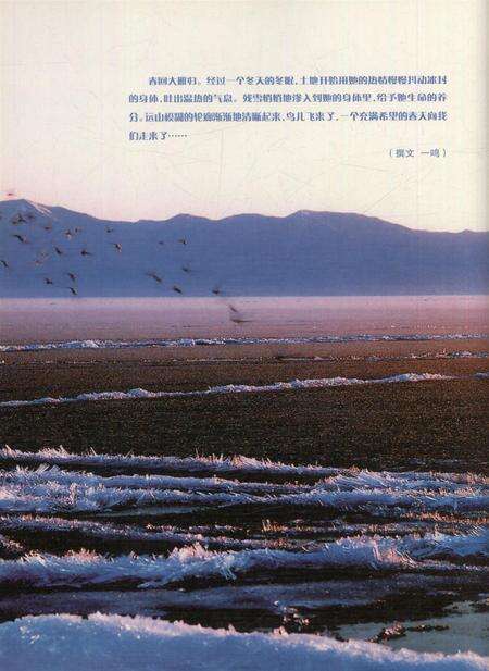 新疆画报2006年第03期.pdf电子版_新疆维吾尔族自治区志预览图1