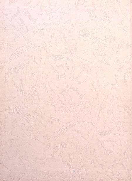 盐城年鉴 2009.pdf电子版_江苏省志预览图1