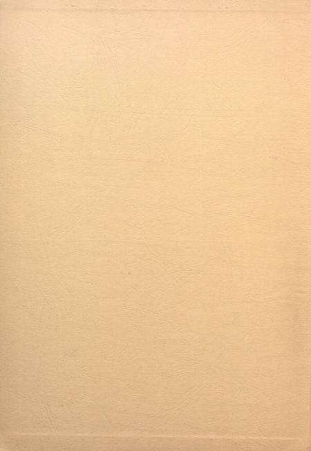 盐城统计年鉴 2007.pdf电子版_江苏省志预览图1