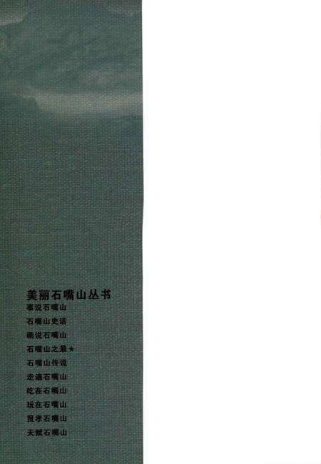 石嘴山之最.pdf电子版_宁夏回族自治区志预览图1