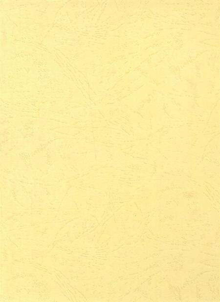 资阳统计年鉴（2003年）.pdf电子版_四川省志预览图1